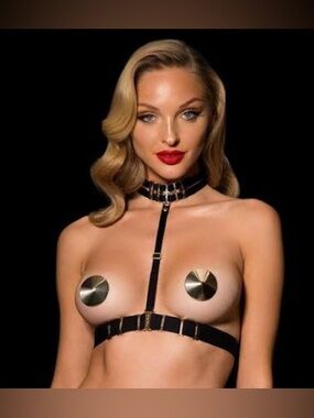 Honey Birdette Metallic Gold Pasties - Shiny Gold Party Adhesives